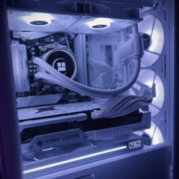 Second image of Le LittleWhityBeast